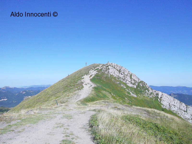 MONTE GOMITO: LA VETTA